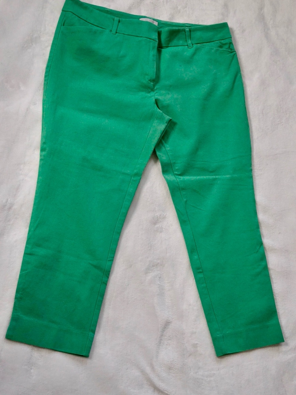 New York & Company Green Stretch Capri Pants Size 14